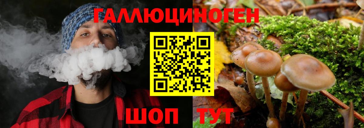 Галлюциногенные грибы MAGIC MUSHROOMS Углич
